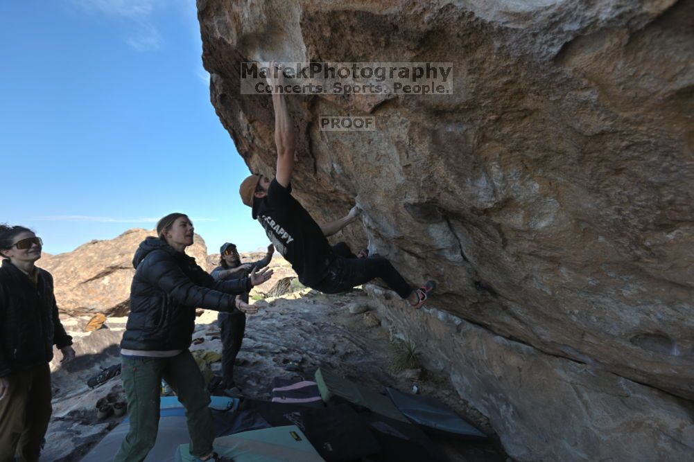 

Filename: SRM_20211126_1017492.jpg
Aperture: f/5.6
Shutter Speed: 1/400
Body: Canon EOS R6
Lens: Canon EF 16-35mm f/2.8 L