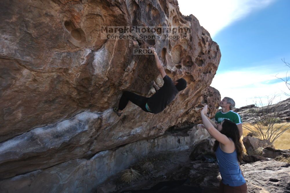 

Filename: SRM_20211204_1030480.jpg
Aperture: f/4.0
Shutter Speed: 1/500
Body: Canon EOS R6
Lens: Canon EF 16-35mm f/2.8 L