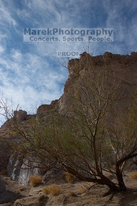 Camping and hiking in Big Bend National Park, west Texas, New Years 2007.

Filename: SRM_20070102_1446548.jpg
Aperture: f/11.0
Shutter Speed: 1/160
Body: Canon EOS 20D
Lens: Canon EF-S 18-55mm f/3.5-5.6