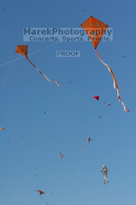 UT kites at the 79th annual Zilker Park Kite Festival, Sunday, March 4, 2007.

Filename: SRM_20070304_1541305.jpg
Aperture: f/14.0
Shutter Speed: 1/500
Body: Canon EOS 20D
Lens: Canon EF 80-200mm f/2.8 L