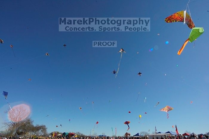 79th annual Zilker Park Kite Festival, Sunday, March 4, 2007.

Filename: SRM_20070304_1544261.jpg
Aperture: f/13.0
Shutter Speed: 1/250
Body: Canon EOS-1D Mark II
Lens: Sigma 15-30mm f/3.5-4.5 EX Aspherical DG DF