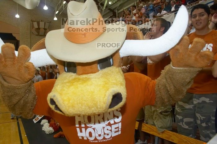 The Longhorns defeated the Huskers 3-0 on Wednesday night, October 24, 2007 at Gregory Gym.

Filename: SRM_20071024_1850225.jpg
Aperture: f/5.6
Shutter Speed: 1/100
Body: Canon EOS 20D
Lens: Canon EF-S 18-55mm f/3.5-5.6