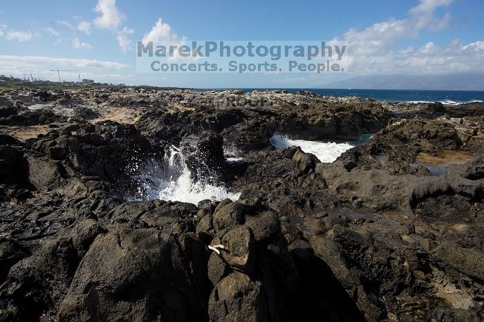 Hike to the Nakalele blowholes along the surf-beaten lava formations.

Filename: SRM_20071219_1229585.jpg
Aperture: f/8.0
Shutter Speed: 1/2500
Body: Canon EOS-1D Mark II
Lens: Sigma 15-30mm f/3.5-4.5 EX Aspherical DG DF