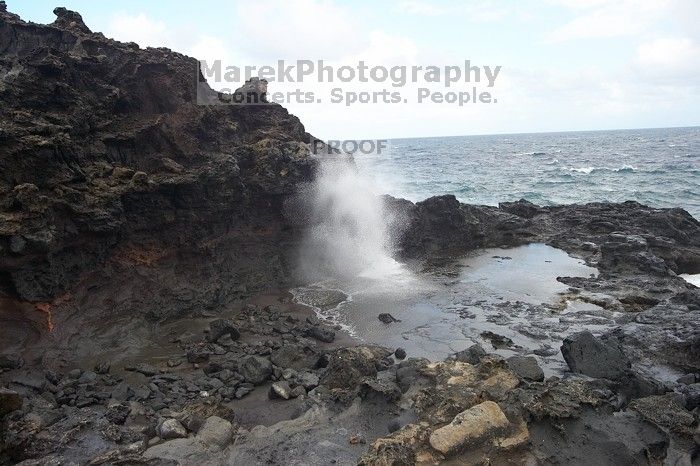 Hike to the Nakalele blowholes along the surf-beaten lava formations.

Filename: SRM_20071219_1342295.jpg
Aperture: f/10.0
Shutter Speed: 1/1250
Body: Canon EOS-1D Mark II
Lens: Sigma 15-30mm f/3.5-4.5 EX Aspherical DG DF