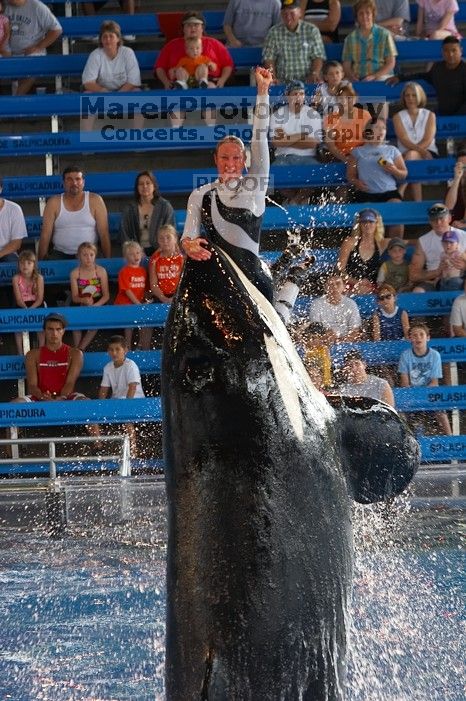 Shamu and Namu in the Believe show at Sea World, San Antonio.

Filename: SRM_20060423_124416_6.jpg
Aperture: f/4.0
Shutter Speed: 1/200
Body: Canon EOS 20D
Lens: Canon EF 80-200mm f/2.8 L