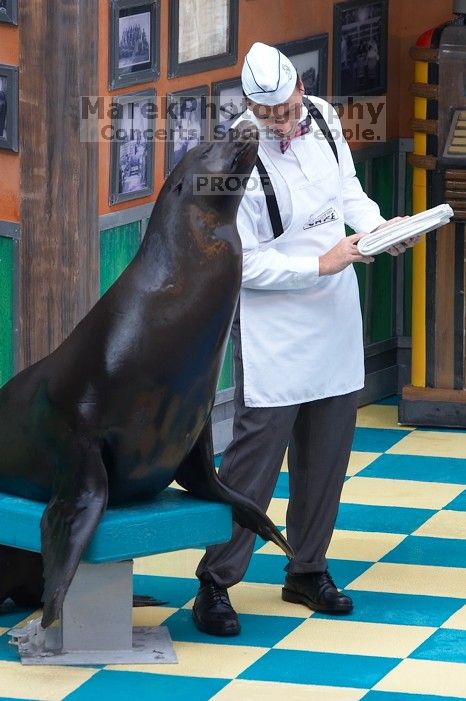 Sea lions Clyde and Seamore in "The Cannery Row Caper" show at Sea World, San Antonio.

Filename: SRM_20060423_160802_4.jpg
Aperture: f/5.6
Shutter Speed: 1/320
Body: Canon EOS 20D
Lens: Canon EF 80-200mm f/2.8 L