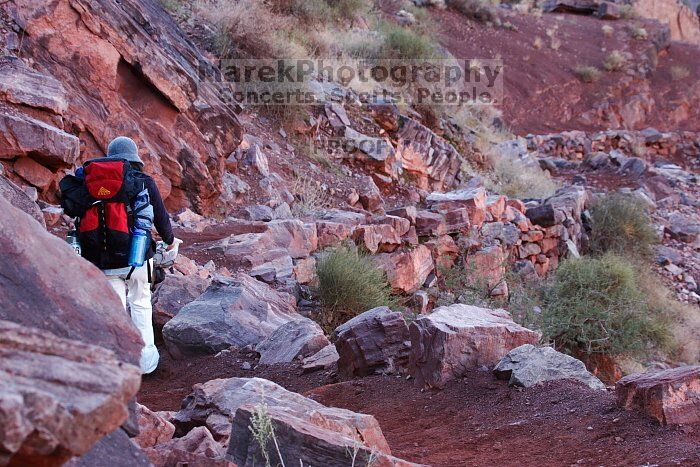 Beth Marek hiking down the South Kaibab trail, backpacking the Grand Canyon with Beth, Thursday, January 1, 2009.

Filename: SRM_20090101_15533698.jpg
Aperture: f/8.0
Shutter Speed: 1/100
Body: Canon EOS-1D Mark II
Lens: Canon EF 100-400mm f/4.5-5.6 L IS USM