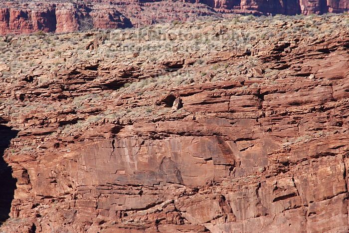 A large bird of prey (maybe an eagle) seen while hiking to the Phantom Ranch overlook, while backpacking the Grand Canyon with Beth, Friday, January 2, 2009.

Filename: SRM_20090102_14251201.JPG
Aperture: f/11.0
Shutter Speed: 1/640
Body: Canon EOS-1D Mark II
Lens: Canon EF 100-400mm f/4.5-5.6 L IS USM w/ 1.4x II TC