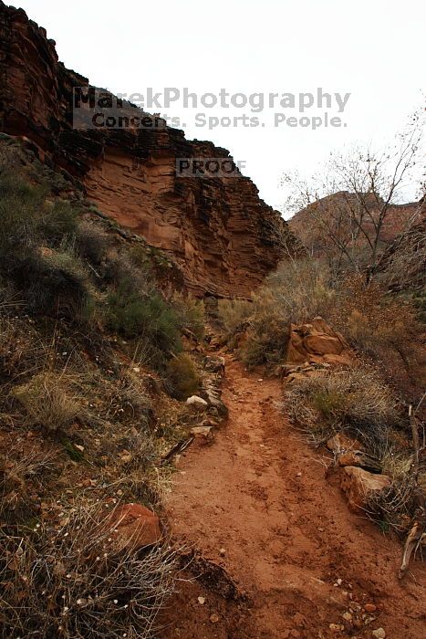 Hiking up the Bright Angel trail from Bright Angel campground to Indian Garden campground, while backpacking the Grand Canyon with Beth, Saturday, January 3, 2009.

Filename: SRM_20090103_12432301.JPG
Aperture: f/11.0
Shutter Speed: 1/50
Body: Canon EOS-1D Mark II
Lens: Canon EF 16-35mm f/2.8 L