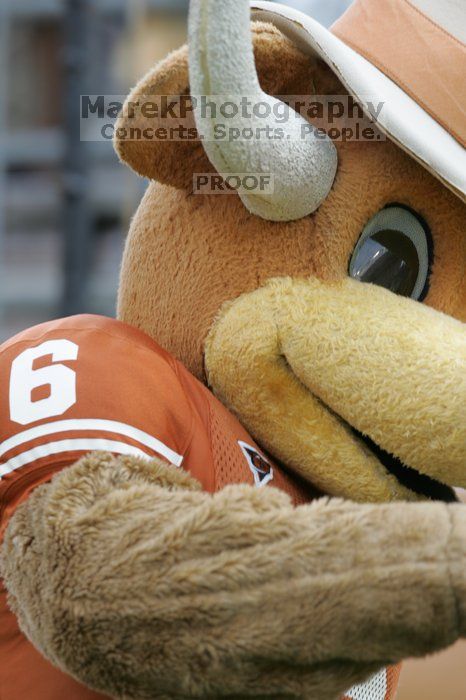 The University of Texas football team defeated the Arkansas Razorbacks with a score of 52-10 in Austin, TX on Saturday, September 27, 2008.

Filename: SRM_20080927_14335452.jpg
Aperture: f/5.0
Shutter Speed: 1/320
Body: Canon EOS-1D Mark II
Lens: Canon EF 300mm f/2.8 L IS