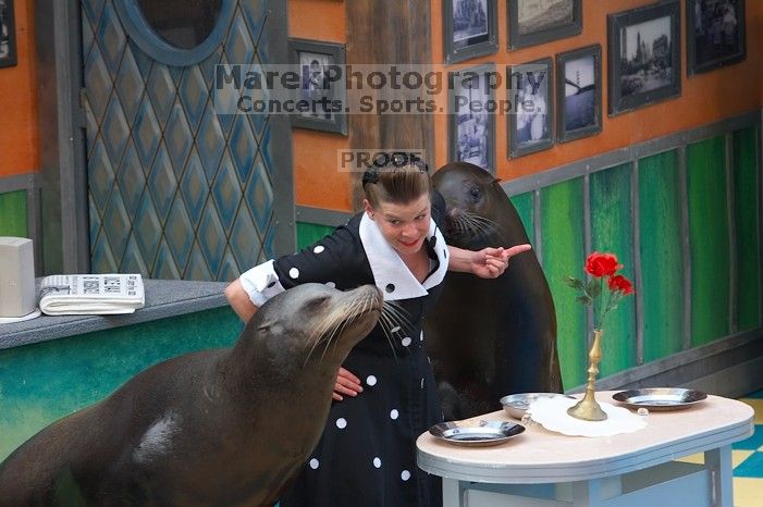 Sea lions Clyde and Seamore in "The Cannery Row Caper" show at Sea World, San Antonio.

Filename: SRM_20060423_161436_7.jpg
Aperture: f/5.0
Shutter Speed: 1/320
Body: Canon EOS 20D
Lens: Canon EF 80-200mm f/2.8 L