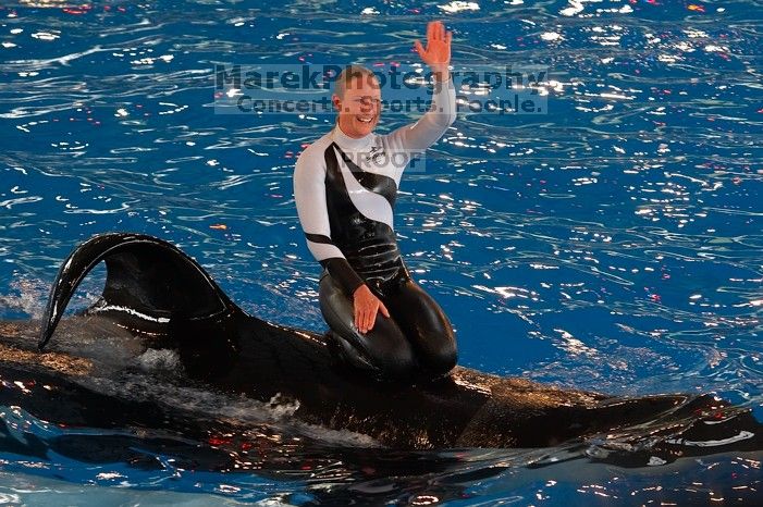 Shamu and Namu in the Believe show at Sea World, San Antonio.

Filename: SRM_20060423_124126_4.jpg
Aperture: f/4.5
Shutter Speed: 1/200
Body: Canon EOS 20D
Lens: Canon EF 80-200mm f/2.8 L