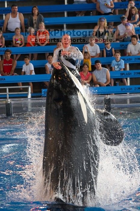 Shamu and Namu in the Believe show at Sea World, San Antonio.

Filename: SRM_20060423_124414_5.jpg
Aperture: f/4.0
Shutter Speed: 1/200
Body: Canon EOS 20D
Lens: Canon EF 80-200mm f/2.8 L