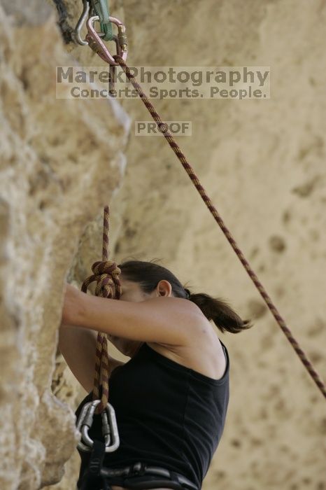 CTM hosted a speed climbing event at Seismic Wall on Diving for Rocks to benefit the Austin Area Food Bank, Saturday, May 9, 2009.

Filename: SRM_20090509_10301858.jpg
Aperture: f/4.0
Shutter Speed: 1/500
Body: Canon EOS-1D Mark II
Lens: Canon EF 300mm f/2.8 L IS