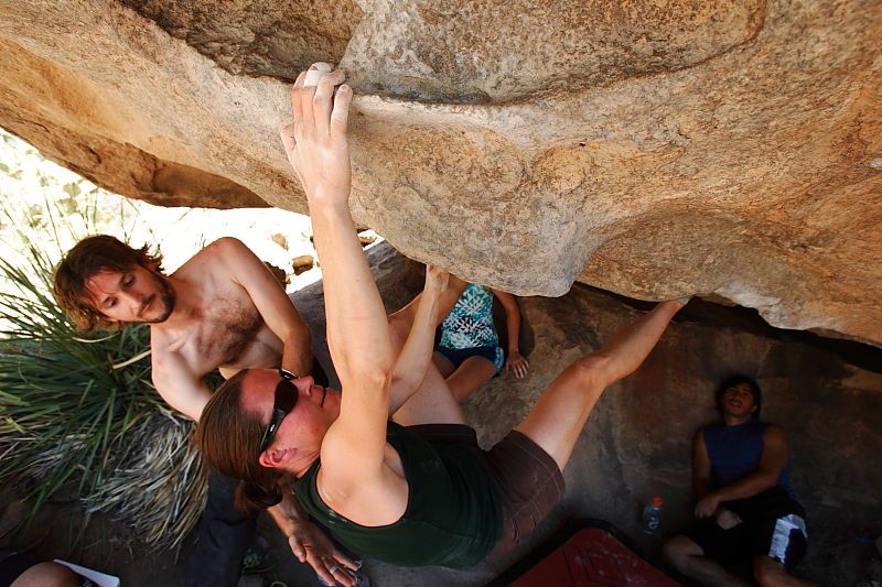 Beth Marek rock climbing on No One Gets Out of Here Alive (V2) in Hueco Tanks State Park and Historic Site during the Hueco Tanks Awesome Fest 2010 trip, Saturday, May 22, 2010.

Filename: SRM_20100522_15321697.JPG
Aperture: f/5.6
Shutter Speed: 1/320
Body: Canon EOS-1D Mark II
Lens: Canon EF 16-35mm f/2.8 L