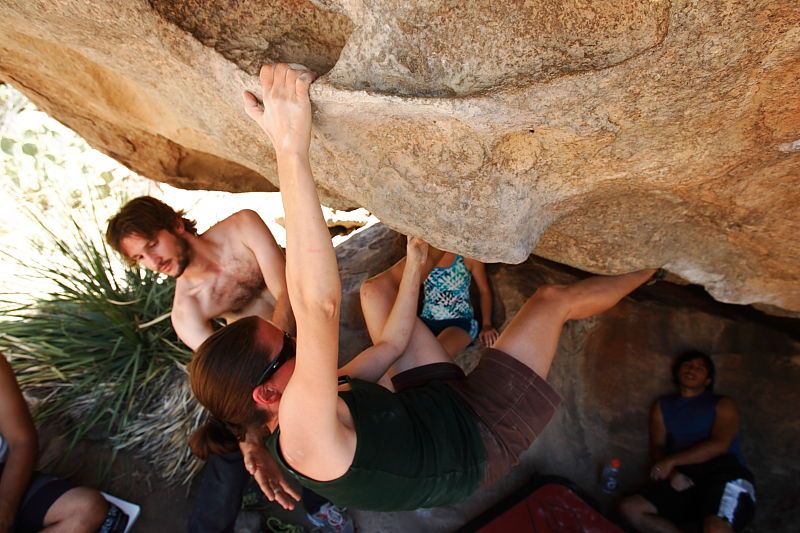 Beth Marek rock climbing on No One Gets Out of Here Alive (V2) in Hueco Tanks State Park and Historic Site during the Hueco Tanks Awesome Fest 2010 trip, Saturday, May 22, 2010.

Filename: SRM_20100522_15321700.JPG
Aperture: f/5.6
Shutter Speed: 1/320
Body: Canon EOS-1D Mark II
Lens: Canon EF 16-35mm f/2.8 L