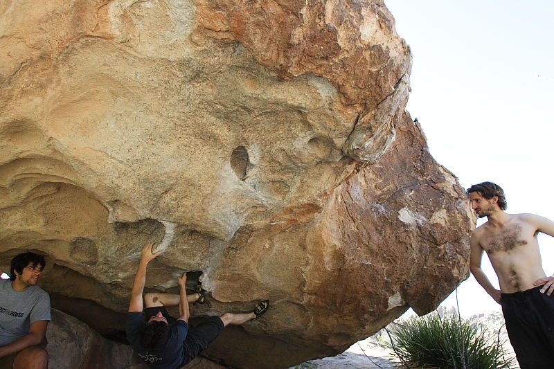 Raanan Robertson rock climbing on No One Gets Out of Here Alive (V2) in Hueco Tanks State Park and Historic Site during the Hueco Tanks Awesome Fest 2010 trip, Sunday, May 23, 2010.

Filename: SRM_20100523_10564479.JPG
Aperture: f/5.6
Shutter Speed: 1/640
Body: Canon EOS-1D Mark II
Lens: Canon EF 16-35mm f/2.8 L