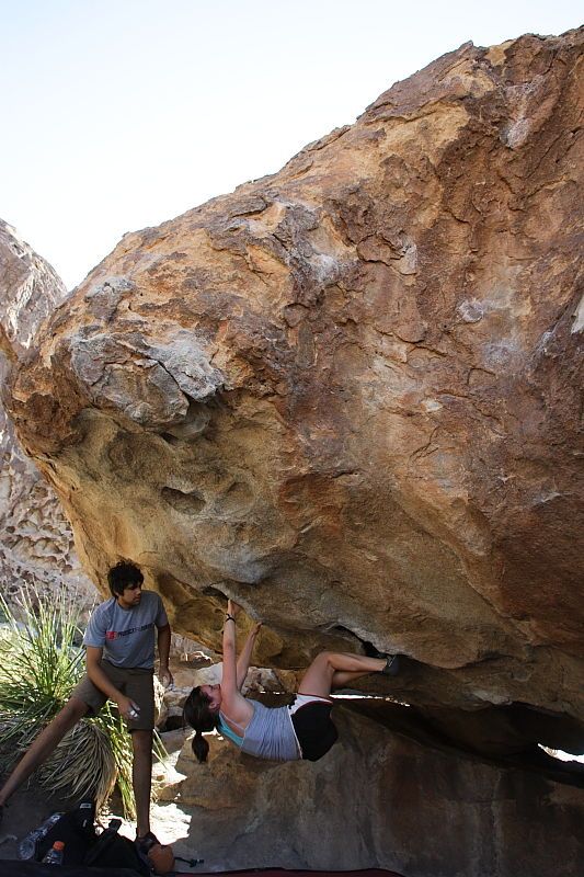 Sarah Williams rock climbing on No One Gets Out of Here Alive (V2) in Hueco Tanks State Park and Historic Site during the Hueco Tanks Awesome Fest 2010 trip, Sunday, May 23, 2010.

Filename: SRM_20100523_11012409.JPG
Aperture: f/5.6
Shutter Speed: 1/500
Body: Canon EOS-1D Mark II
Lens: Canon EF 16-35mm f/2.8 L