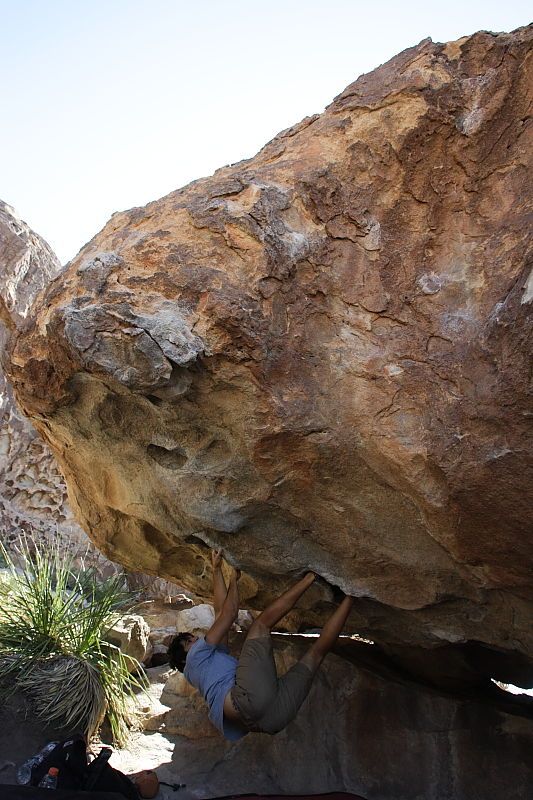 Cayce Wilson rock climbing on No One Gets Out of Here Alive (V2) in Hueco Tanks State Park and Historic Site during the Hueco Tanks Awesome Fest 2010 trip, Sunday, May 23, 2010.

Filename: SRM_20100523_11032620.JPG
Aperture: f/5.6
Shutter Speed: 1/500
Body: Canon EOS-1D Mark II
Lens: Canon EF 16-35mm f/2.8 L