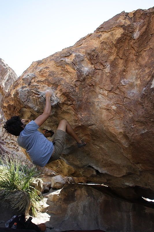 Cayce Wilson rock climbing on No One Gets Out of Here Alive (V2) in Hueco Tanks State Park and Historic Site during the Hueco Tanks Awesome Fest 2010 trip, Sunday, May 23, 2010.

Filename: SRM_20100523_11034735.JPG
Aperture: f/5.6
Shutter Speed: 1/500
Body: Canon EOS-1D Mark II
Lens: Canon EF 16-35mm f/2.8 L