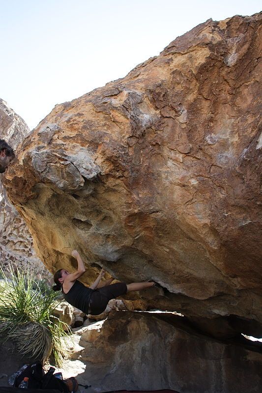 Beth Marek rock climbing on No One Gets Out of Here Alive (V2) in Hueco Tanks State Park and Historic Site during the Hueco Tanks Awesome Fest 2010 trip, Sunday, May 23, 2010.

Filename: SRM_20100523_11062270.JPG
Aperture: f/5.6
Shutter Speed: 1/500
Body: Canon EOS-1D Mark II
Lens: Canon EF 16-35mm f/2.8 L