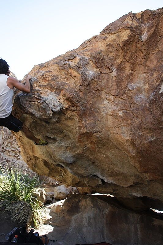 Javier Morales rock climbing on No One Gets Out of Here Alive (V2) in Hueco Tanks State Park and Historic Site during the Hueco Tanks Awesome Fest 2010 trip, Sunday, May 23, 2010.

Filename: SRM_20100523_11080398.JPG
Aperture: f/5.6
Shutter Speed: 1/500
Body: Canon EOS-1D Mark II
Lens: Canon EF 16-35mm f/2.8 L