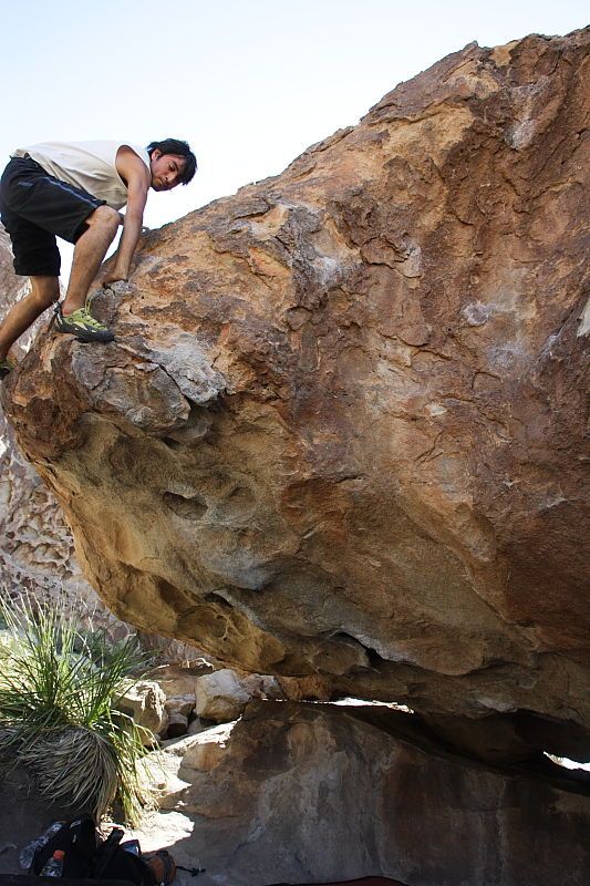 Javier Morales rock climbing on No One Gets Out of Here Alive (V2) in Hueco Tanks State Park and Historic Site during the Hueco Tanks Awesome Fest 2010 trip, Sunday, May 23, 2010.

Filename: SRM_20100523_11081006.JPG
Aperture: f/5.6
Shutter Speed: 1/500
Body: Canon EOS-1D Mark II
Lens: Canon EF 16-35mm f/2.8 L