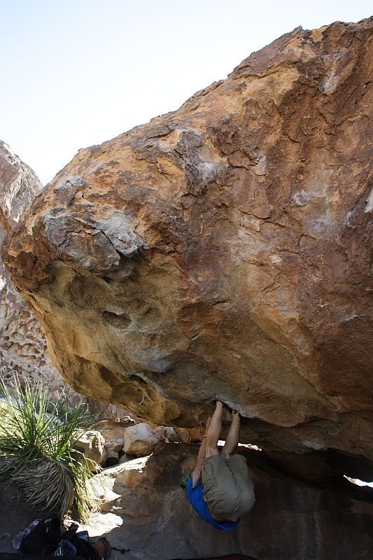 Steve Marek rock climbing on No One Gets Out of Here Alive (V2) in Hueco Tanks State Park and Historic Site during the Hueco Tanks Awesome Fest 2010 trip, Sunday, May 23, 2010.

Filename: SRM_20100523_11105313.JPG
Aperture: f/5.6
Shutter Speed: 1/500
Body: Canon EOS-1D Mark II
Lens: Canon EF 16-35mm f/2.8 L