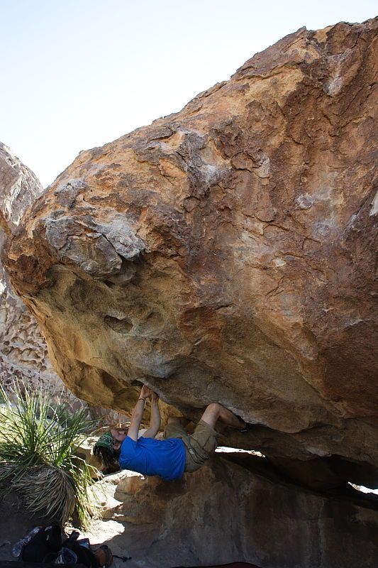 Steve Marek rock climbing on No One Gets Out of Here Alive (V2) in Hueco Tanks State Park and Historic Site during the Hueco Tanks Awesome Fest 2010 trip, Sunday, May 23, 2010.

Filename: SRM_20100523_11110315.JPG
Aperture: f/5.6
Shutter Speed: 1/500
Body: Canon EOS-1D Mark II
Lens: Canon EF 16-35mm f/2.8 L