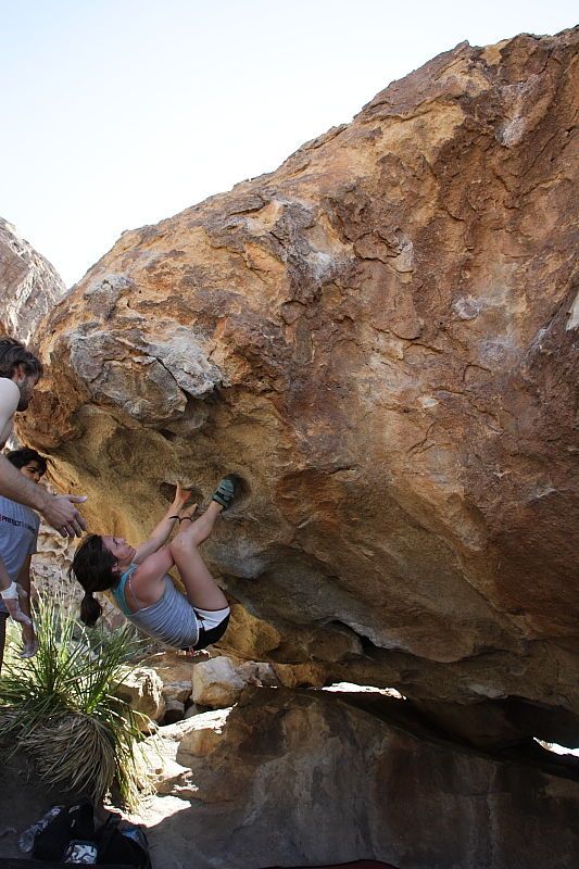 Sarah Williams rock climbing on No One Gets Out of Here Alive (V2) in Hueco Tanks State Park and Historic Site during the Hueco Tanks Awesome Fest 2010 trip, Sunday, May 23, 2010.

Filename: SRM_20100523_11172560.JPG
Aperture: f/5.6
Shutter Speed: 1/500
Body: Canon EOS-1D Mark II
Lens: Canon EF 16-35mm f/2.8 L