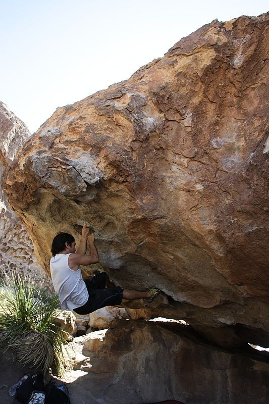 Javier Morales rock climbing on No One Gets Out of Here Alive (V2) in Hueco Tanks State Park and Historic Site during the Hueco Tanks Awesome Fest 2010 trip, Sunday, May 23, 2010.

Filename: SRM_20100523_11201170.JPG
Aperture: f/5.6
Shutter Speed: 1/500
Body: Canon EOS-1D Mark II
Lens: Canon EF 16-35mm f/2.8 L