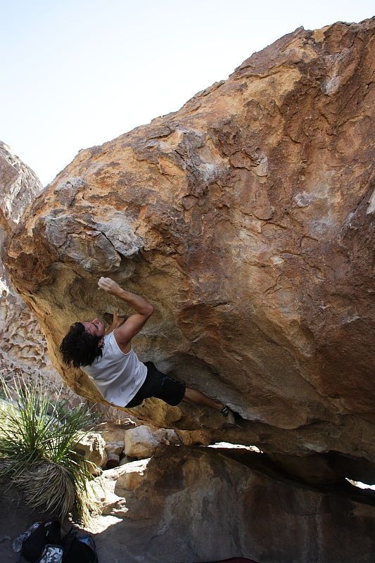 Javier Morales rock climbing on No One Gets Out of Here Alive (V2) in Hueco Tanks State Park and Historic Site during the Hueco Tanks Awesome Fest 2010 trip, Sunday, May 23, 2010.

Filename: SRM_20100523_11202371.JPG
Aperture: f/5.6
Shutter Speed: 1/500
Body: Canon EOS-1D Mark II
Lens: Canon EF 16-35mm f/2.8 L