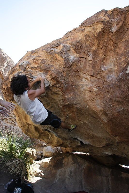 Javier Morales rock climbing on No One Gets Out of Here Alive (V2) in Hueco Tanks State Park and Historic Site during the Hueco Tanks Awesome Fest 2010 trip, Sunday, May 23, 2010.

Filename: SRM_20100523_11203273.JPG
Aperture: f/5.6
Shutter Speed: 1/500
Body: Canon EOS-1D Mark II
Lens: Canon EF 16-35mm f/2.8 L