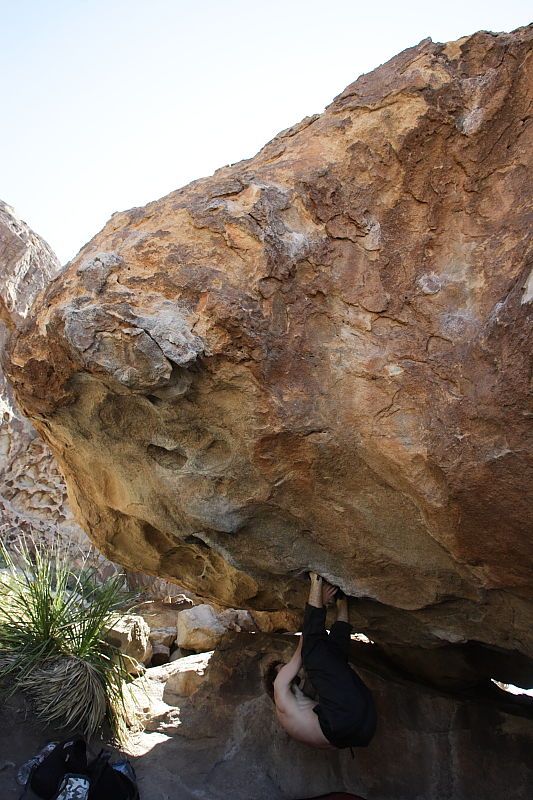 Andrew Dreher rock climbing on No One Gets Out of Here Alive (V2) in Hueco Tanks State Park and Historic Site during the Hueco Tanks Awesome Fest 2010 trip, Sunday, May 23, 2010.

Filename: SRM_20100523_11222974.JPG
Aperture: f/5.6
Shutter Speed: 1/500
Body: Canon EOS-1D Mark II
Lens: Canon EF 16-35mm f/2.8 L