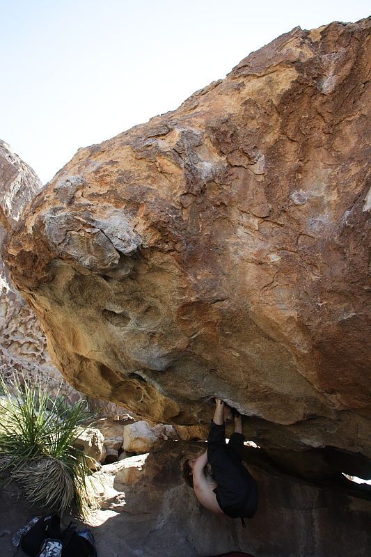 Andrew Dreher rock climbing on No One Gets Out of Here Alive (V2) in Hueco Tanks State Park and Historic Site during the Hueco Tanks Awesome Fest 2010 trip, Sunday, May 23, 2010.

Filename: SRM_20100523_11222975.JPG
Aperture: f/5.6
Shutter Speed: 1/500
Body: Canon EOS-1D Mark II
Lens: Canon EF 16-35mm f/2.8 L