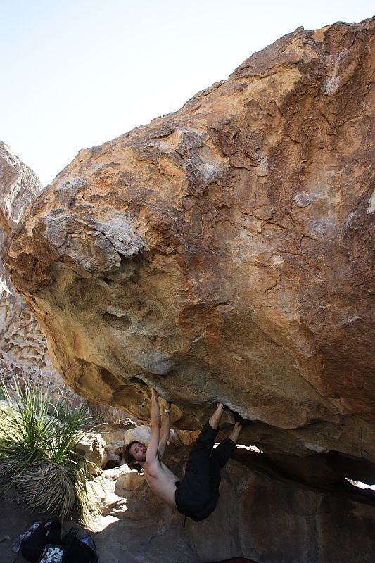 Andrew Dreher rock climbing on No One Gets Out of Here Alive (V2) in Hueco Tanks State Park and Historic Site during the Hueco Tanks Awesome Fest 2010 trip, Sunday, May 23, 2010.

Filename: SRM_20100523_11223077.JPG
Aperture: f/5.6
Shutter Speed: 1/500
Body: Canon EOS-1D Mark II
Lens: Canon EF 16-35mm f/2.8 L