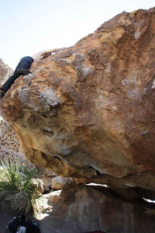 Andrew Dreher rock climbing on No One Gets Out of Here Alive (V2) in Hueco Tanks State Park and Historic Site during the Hueco Tanks Awesome Fest 2010 trip, Sunday, May 23, 2010.

Filename: SRM_20100523_11230598.JPG
Aperture: f/5.6
Shutter Speed: 1/500
Body: Canon EOS-1D Mark II
Lens: Canon EF 16-35mm f/2.8 L