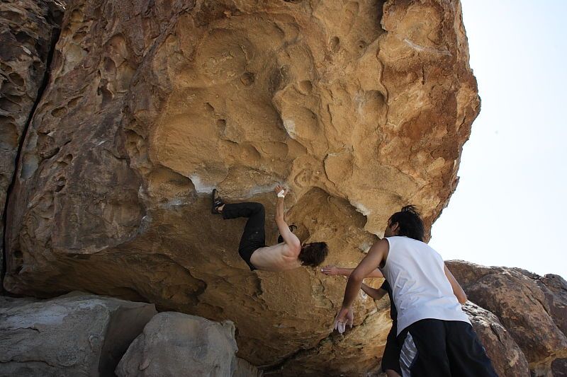 Andrew Dreher rock climbing in Hueco Tanks State Park and Historic Site during the Hueco Tanks Awesome Fest 2010 trip, Sunday, May 23, 2010.

Filename: SRM_20100523_11542165.JPG
Aperture: f/8.0
Shutter Speed: 1/500
Body: Canon EOS-1D Mark II
Lens: Canon EF 16-35mm f/2.8 L