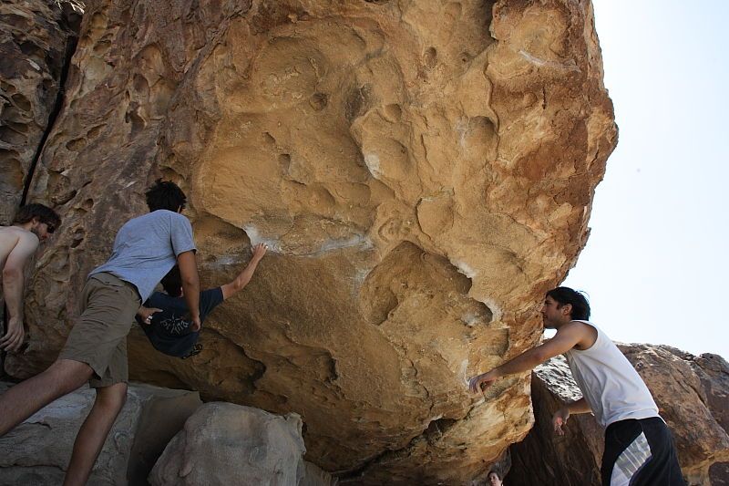 Raanan Robertson rock climbing in Hueco Tanks State Park and Historic Site during the Hueco Tanks Awesome Fest 2010 trip, Sunday, May 23, 2010.

Filename: SRM_20100523_12202883.JPG
Aperture: f/8.0
Shutter Speed: 1/500
Body: Canon EOS-1D Mark II
Lens: Canon EF 16-35mm f/2.8 L