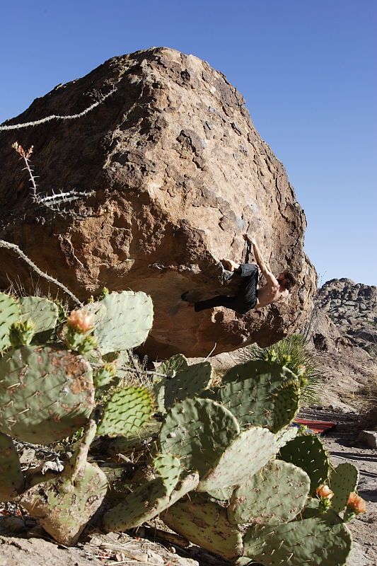 Andrew Dreher rock climbing on No One Gets Out of Here Alive (V2) in Hueco Tanks State Park and Historic Site during the Hueco Tanks Awesome Fest 2010 trip, Sunday, May 23, 2010.

Filename: SRM_20100523_18510015.JPG
Aperture: f/8.0
Shutter Speed: 1/1000
Body: Canon EOS-1D Mark II
Lens: Canon EF 16-35mm f/2.8 L