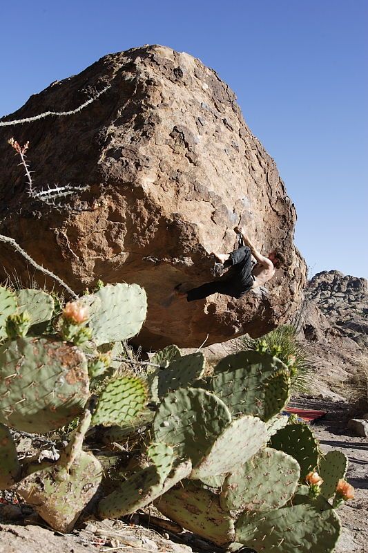 Andrew Dreher rock climbing on No One Gets Out of Here Alive (V2) in Hueco Tanks State Park and Historic Site during the Hueco Tanks Awesome Fest 2010 trip, Sunday, May 23, 2010.

Filename: SRM_20100523_18510116.JPG
Aperture: f/8.0
Shutter Speed: 1/800
Body: Canon EOS-1D Mark II
Lens: Canon EF 16-35mm f/2.8 L