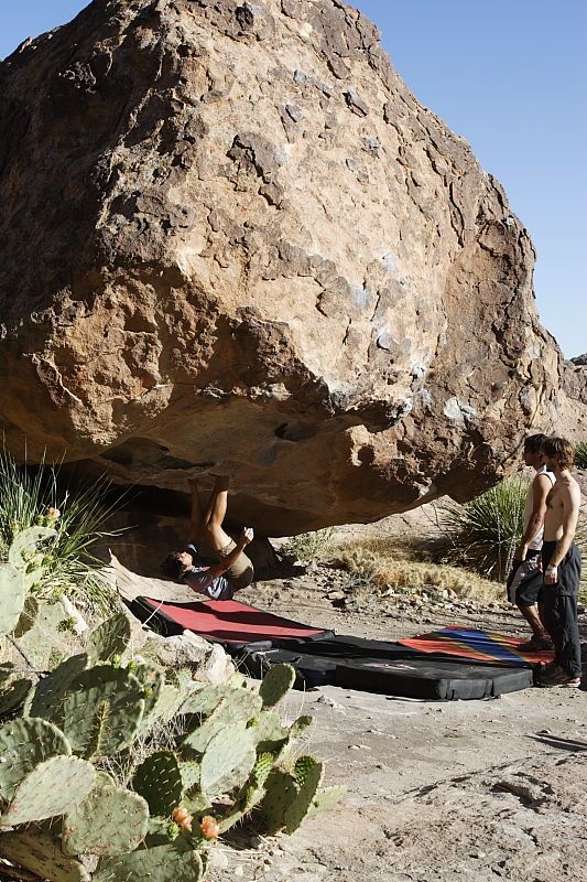 Cayce Wilson rock climbing on No One Gets Out of Here Alive (V2) in Hueco Tanks State Park and Historic Site during the Hueco Tanks Awesome Fest 2010 trip, Sunday, May 23, 2010.

Filename: SRM_20100523_18550926.JPG
Aperture: f/8.0
Shutter Speed: 1/800
Body: Canon EOS-1D Mark II
Lens: Canon EF 16-35mm f/2.8 L