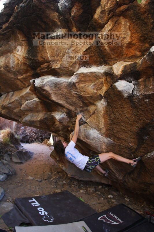 Bouldering in Hueco Tanks on 04/11/2016 with Blue Lizard Climbing and Yoga

Filename: SRM_20160411_1706270.jpg
Aperture: f/3.5
Shutter Speed: 1/320
Body: Canon EOS 20D
Lens: Canon EF 16-35mm f/2.8 L