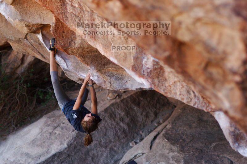 

Filename: SRM_20161120_1651452.jpg
Aperture: f/2.0
Shutter Speed: 1/500
Body: Canon EOS-1D Mark II
Lens: Canon EF 85mm f/1.2 L II