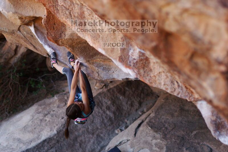 

Filename: SRM_20161120_1652332.jpg
Aperture: f/2.0
Shutter Speed: 1/500
Body: Canon EOS-1D Mark II
Lens: Canon EF 85mm f/1.2 L II