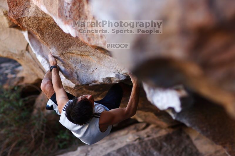 

Filename: SRM_20161120_1704240.jpg
Aperture: f/2.0
Shutter Speed: 1/320
Body: Canon EOS-1D Mark II
Lens: Canon EF 85mm f/1.2 L II