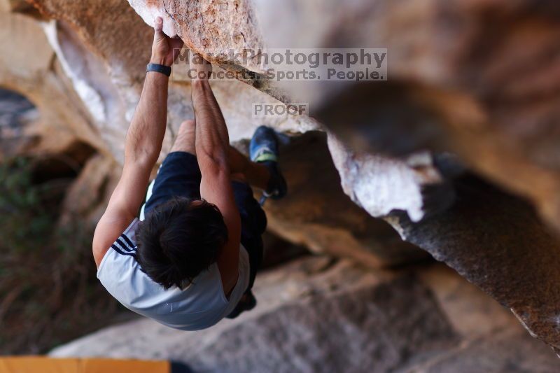 

Filename: SRM_20161120_1704400.jpg
Aperture: f/2.0
Shutter Speed: 1/320
Body: Canon EOS-1D Mark II
Lens: Canon EF 85mm f/1.2 L II