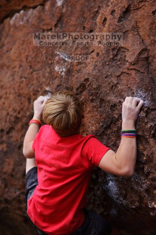 

Filename: SRM_20161124_1305300.jpg
Aperture: f/1.8
Shutter Speed: 1/1250
Body: Canon EOS-1D Mark II
Lens: Canon EF 85mm f/1.2 L II