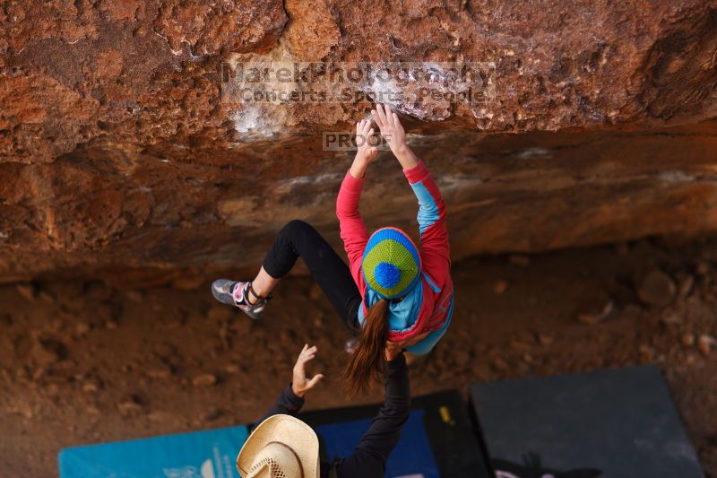 

Filename: SRM_20161124_1320370.jpg
Aperture: f/1.8
Shutter Speed: 1/1250
Body: Canon EOS-1D Mark II
Lens: Canon EF 85mm f/1.2 L II