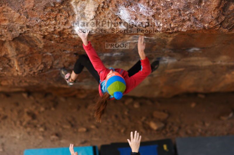 

Filename: SRM_20161124_1329100.jpg
Aperture: f/1.8
Shutter Speed: 1/1250
Body: Canon EOS-1D Mark II
Lens: Canon EF 85mm f/1.2 L II